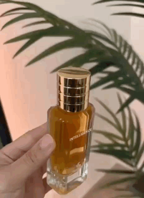 Complete AI Perfume Trio - 3 Premium Fragrances (40% OFF)